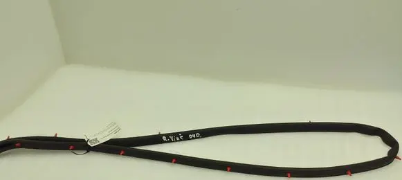 Toyota Aygo AB40 Front door rubber seal
