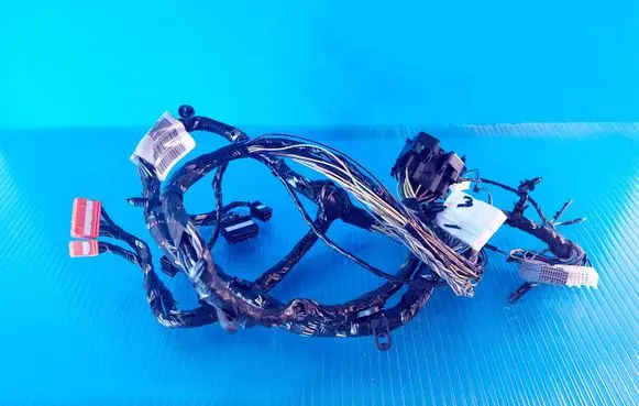 Chrysler Voyager Other wiring loom 96555J L0095292AC01 ACGD2787P0336