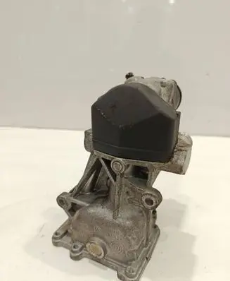 Volkswagen Polo V 6R EGR valve 0280751016 11725509