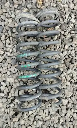 Rear coil spring
