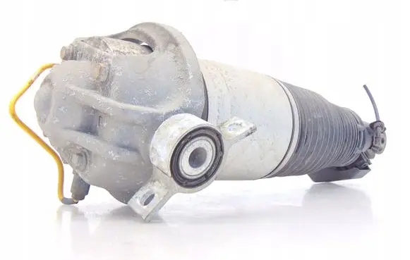 Porsche Cayenne (9PA) Rear shock absorber/damper 7L5616020G