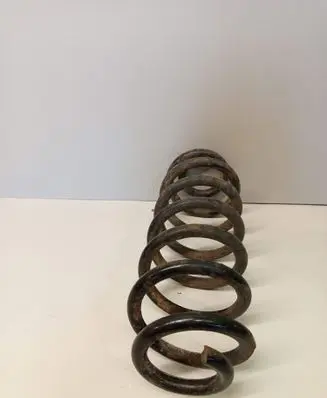 Volkswagen Tiguan Rear coil spring