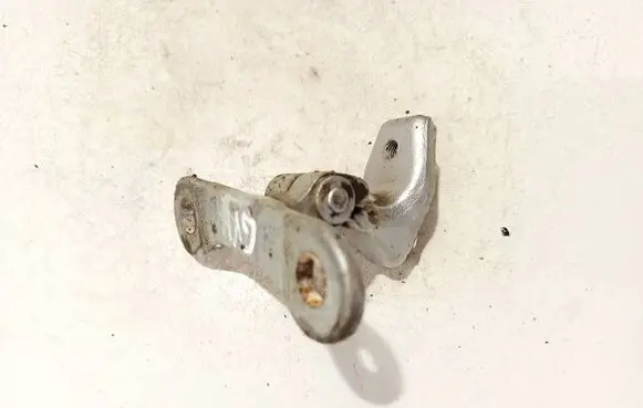 Opel Signum Rear door lower hinge