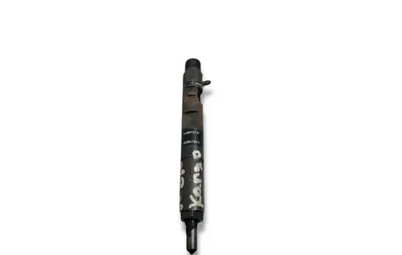 Renault Kangoo II Fuel injector 28232251 166001137R