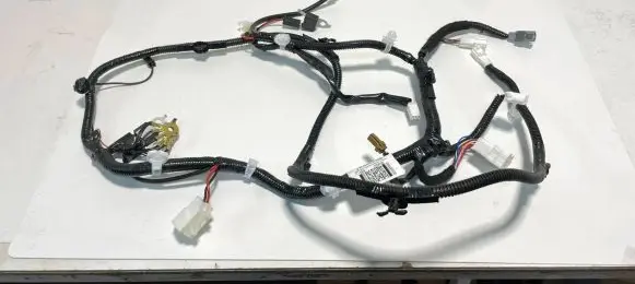 Nissan Leaf II (ZE1) Tailgate/trunk wiring harness 240525SH0B 24076