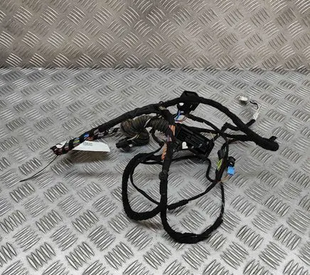 BMW X2 F39 Front door wiring loom 8795802