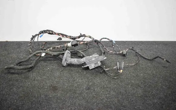 BMW 5 GT F07 Front door wiring loom 9312113
