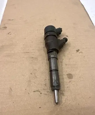 Citroen C5 Fuel injector 0445110062