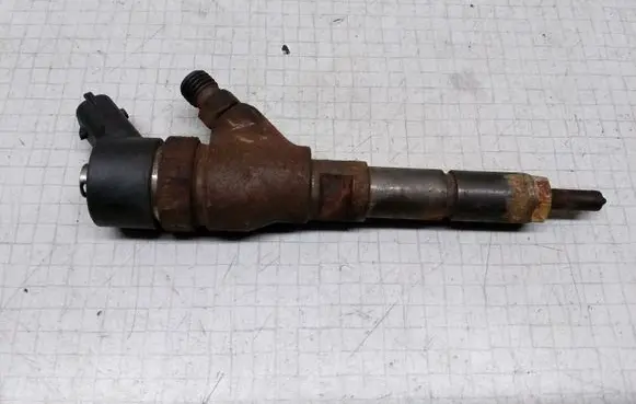 Citroen Xsara Picasso Fuel injector 9641742880
