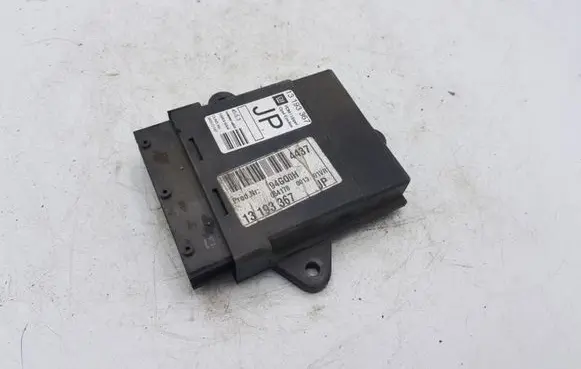Opel Vectra C Door control unit/module 13193367