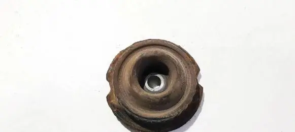 Coil spring mount
