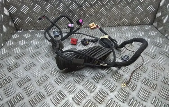 Volkswagen Multivan T5 Front door wiring loom 