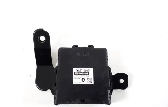 Hyundai Kona I Other control units/modules 4295018001