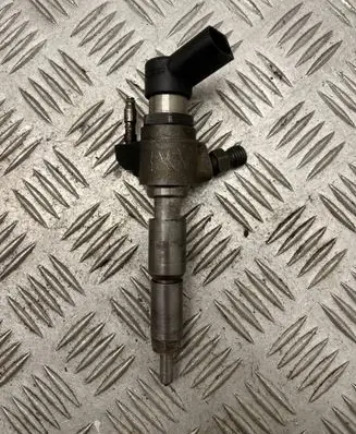 Peugeot 5008 Fuel injector 9674973080 50274V05