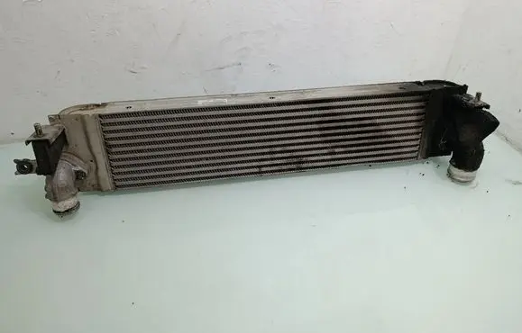Renault Koleos I Intercooler radiator X2587002