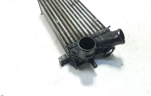 Ford C-MAX II Intercooler radiator 8V619L440CE