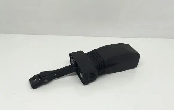 Audi S5 Facelift Front door check strap stopper 8W8837267