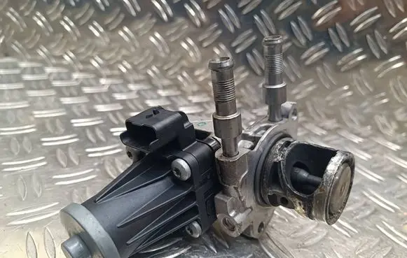 Peugeot 208 EGR valve 9829870080