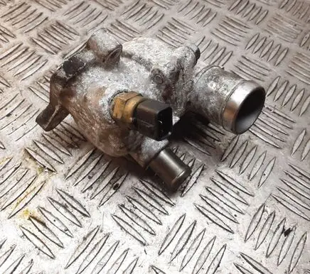 Thermostat/thermostat housing