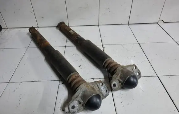 Volkswagen PASSAT B6 Rear shock absorber/damper 3C0513049