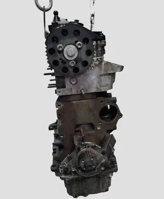 Volkswagen Golf VI Engine CAY
