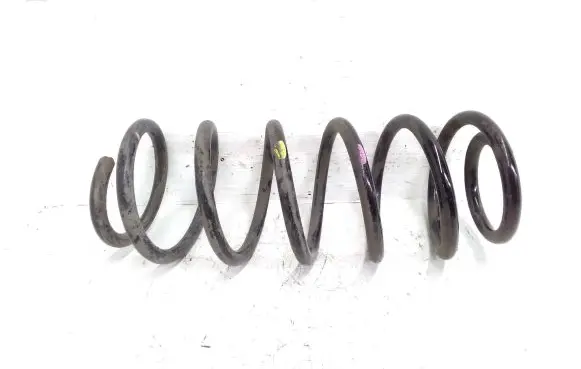 Chevrolet Captiva Front coil spring