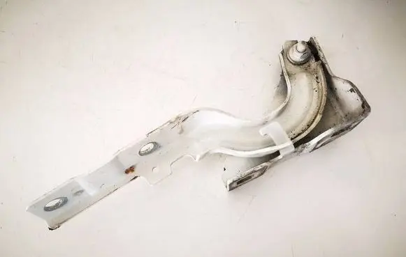 Fiat Tipo Engine bonnet/hood hinges 