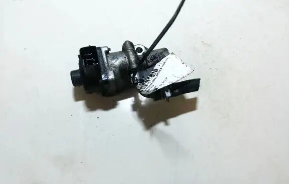 Ford Focus EGR valve