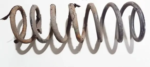 Ford Focus Rear coil spring