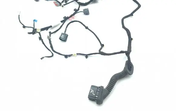 Rear door wiring loom