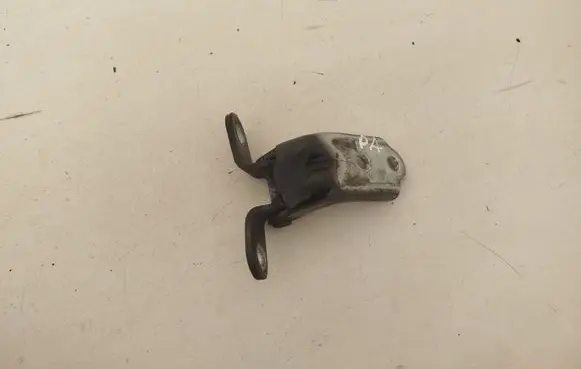 KIA Optima Front door lower hinge A046057