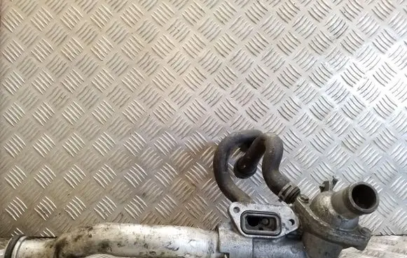 Thermostat/thermostat housing