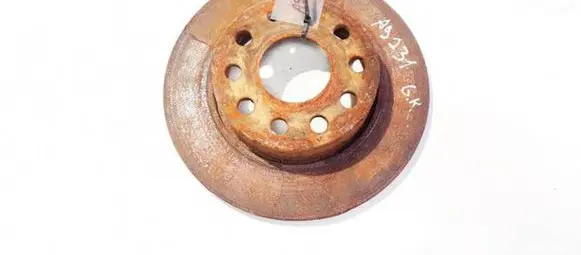 Seat Toledo III (5P) Rear brake disc neventiliuojamas