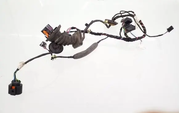 Rear door wiring loom