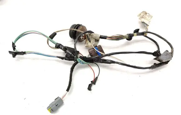 Front door wiring loom