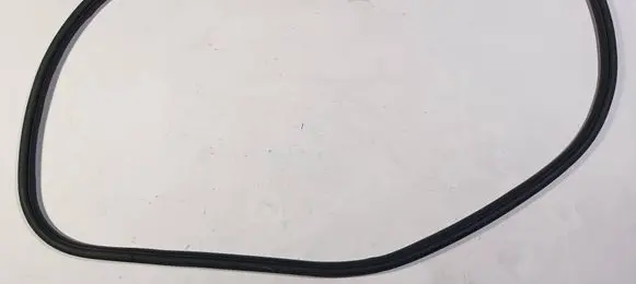 Dodge Durango III Front door rubber seal 23452344