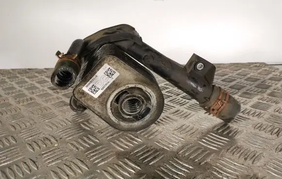 Dacia Duster Engine oil radiator 8200779744E