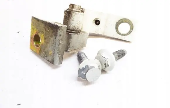 Fiat Panda II Rear door hinge set 