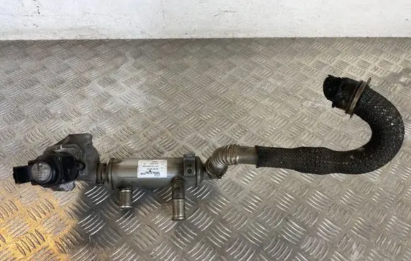 EGR valve cooler