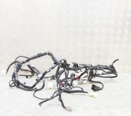 Tesla Model 3 Other wiring loom 311769000B