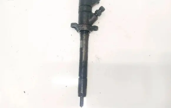 Volvo V50 Fuel injector 0445110259