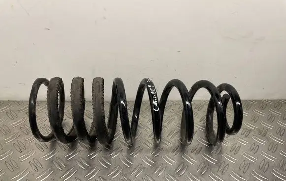 Ford Transit - Tourneo Connect Rear coil spring