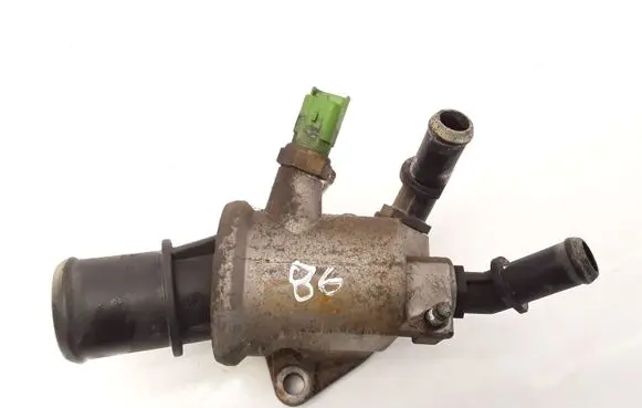 Thermostat/thermostat housing