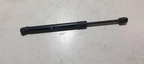Tailgate strut