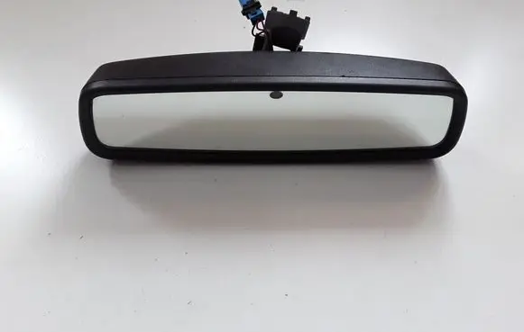 Ford Focus Rear view mirror (interior) E11026532