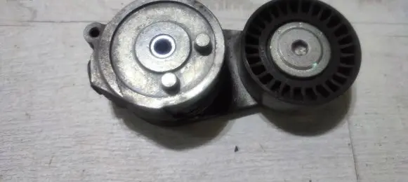 Fiat 500 Generator/alternator belt tensioner 55247439