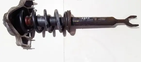 Front coil spring