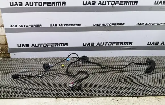 Audi Q2 - Front door wiring loom 81A971029AF