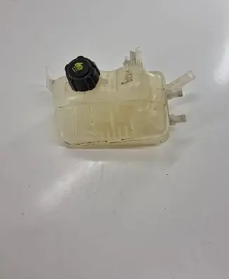 Renault Scenic III - Grand scenic III Coolant expansion tank/reservoir 217100005R