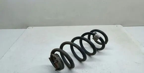 Rear coil spring